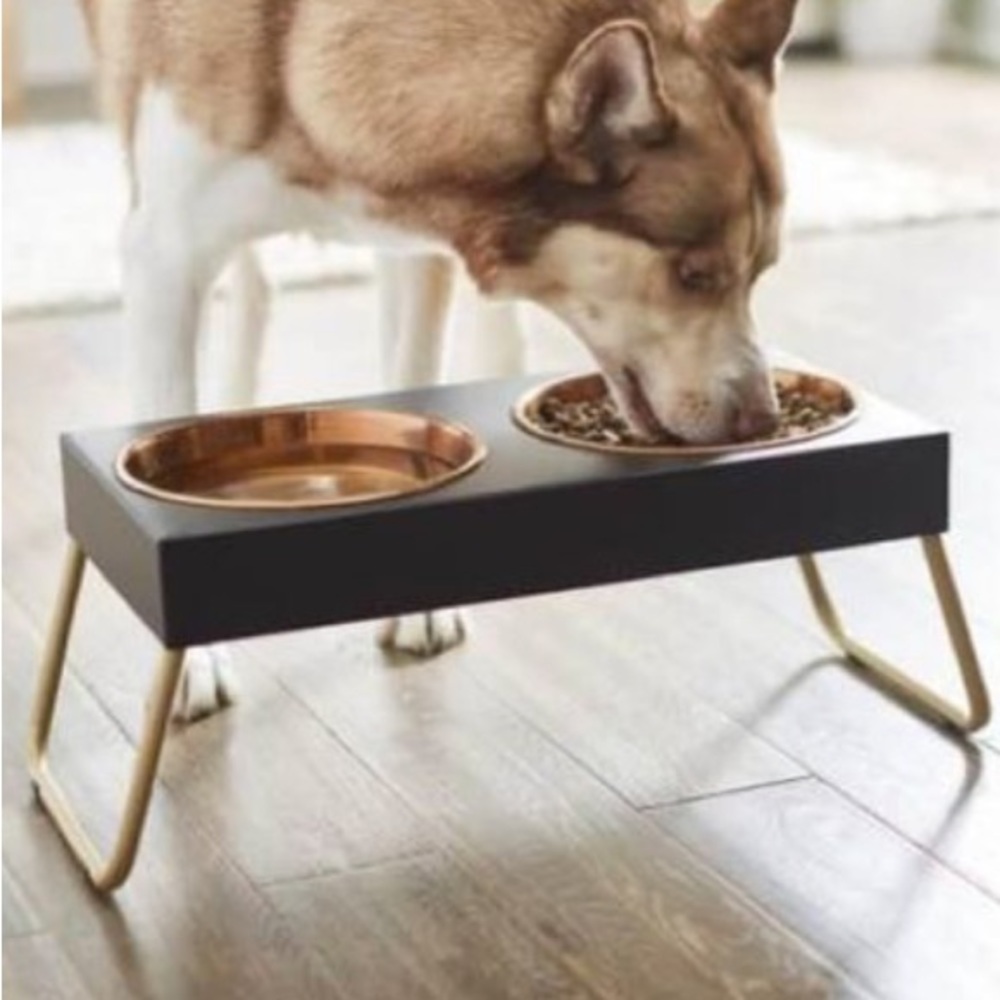 Beautiful Copper Stainless Steel Elevated Double Dog Bowls - Foldable Legs